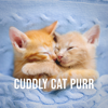 Cuddly Cat Purr: Pleasant Purring of a Cat Cuddling into the Blanket - Urban Sounds