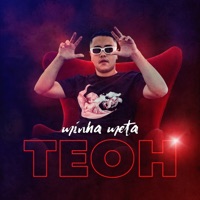 Minha Meta - Single - dj teoh