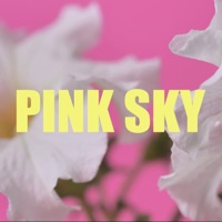 Pink Sky - Single - Rich Hills