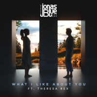 What I like About You (feat. Theresa Rex)-ジョナス・ブルー