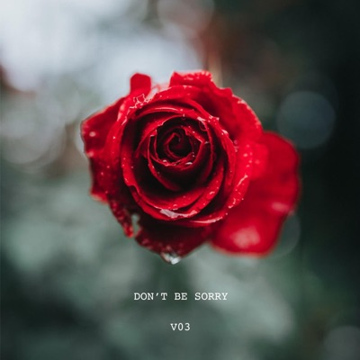 Don't Be Sorry - Single