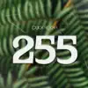 Quick Rocka - 255 (feat. Belle 9)