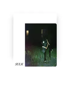 Listen to Sulk, watch music videos, read bio, see tour dates & more!