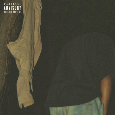 NO SERVICE IN THE VALLEY (Playlist) - Single