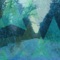 A Palace of Cedar - Blue Dot Sessions lyrics