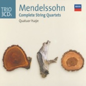 String Quartet No. 6 in F Minor, Op. 80: II. Allegro Assai artwork