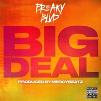 Big Deal - Single - Freaky Blvd