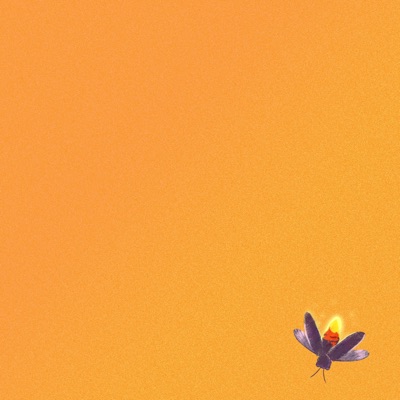 Firefly - Single