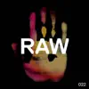 Stream & download Raw 022 - Single