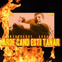 Arde Cand Esti Tanar - Single - Macanache