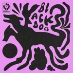 Black Dog by The Polar Boys
