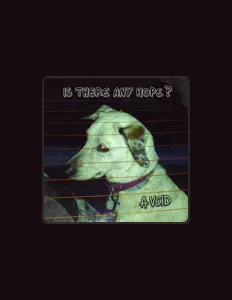 Écoutez A VOID, regardez des vidéoclips, lisez la biographie, consultez les dates de tournée et plus encore !