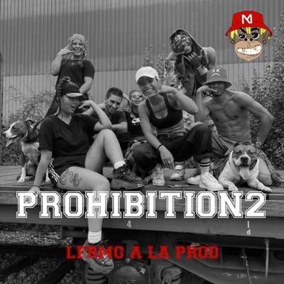 Prohibition 2 - Single