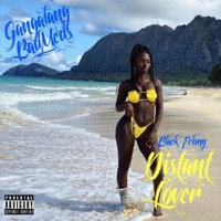 Distant Lover - Single - Black Felony