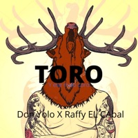 TORO (feat. Don Yolo) [Radio Edit] - Single - Raffy el Cabal