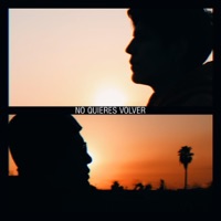 No Quieres Volver - Single - Vius