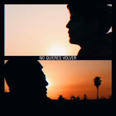No Quieres Volver - Single