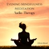 Evening Mindfulness Meditation: Audio Therapy