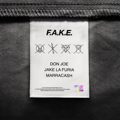 F.A.K.E. - Single