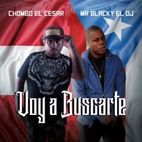 Voy a Buscarte (feat. Chombo el Cesar & Mr. Blacky) - Single - Mr. Blacky el Dj