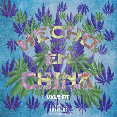 Hecho en China - Single