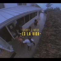 ES LA VIDA (feat. J.Garcia) - Single - Well Worth It & B-High