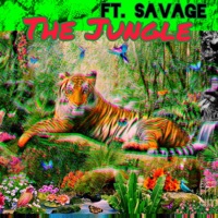 Jungle (feat. Savage Gang) - Single - Dstag