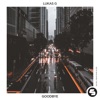 Goodbye - Single