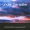Under The Water (feat. Frank'ee) [Deep Dish Edit] artwork