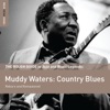 Muddy Waters