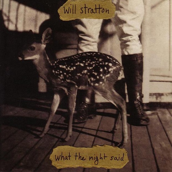 Cover artwork for Fireflies