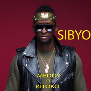 Meddy Sibyo