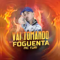 Vai Tomando Foguenta — MC Yuri & Novo Império