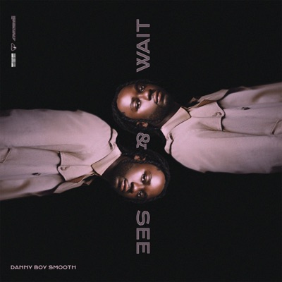 Wait & See - Single