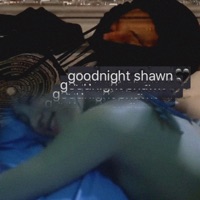 Love Is Only a Feeling - Single - Shawn Sinatra