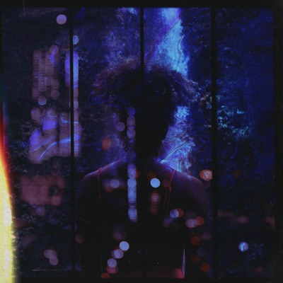 No Replies - Single