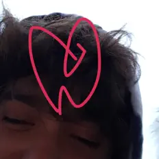 聆聽 Liney、觀看音樂影片、閱讀小傳、查看巡演日期等！