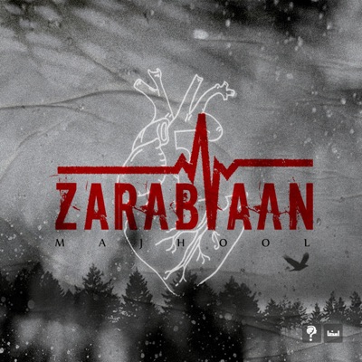 Zarabaan - Single