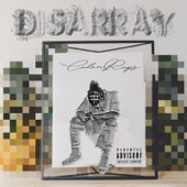 Disarray artwork