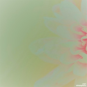 Origin