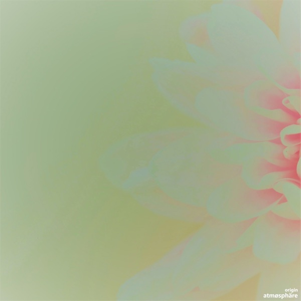Origin
