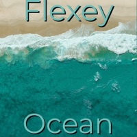 Ocean - Single - Flexey