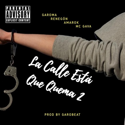 La calle está que quema 2 (feat. Renegón, Amarok & Mc Gava) - Single
