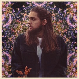 Sunbeams (feat. Synthzetic) Liam Rogers