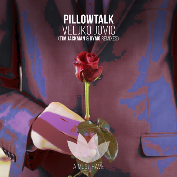 Pillowtalk - Single