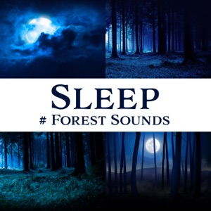 Sleep: # Forest Sounds