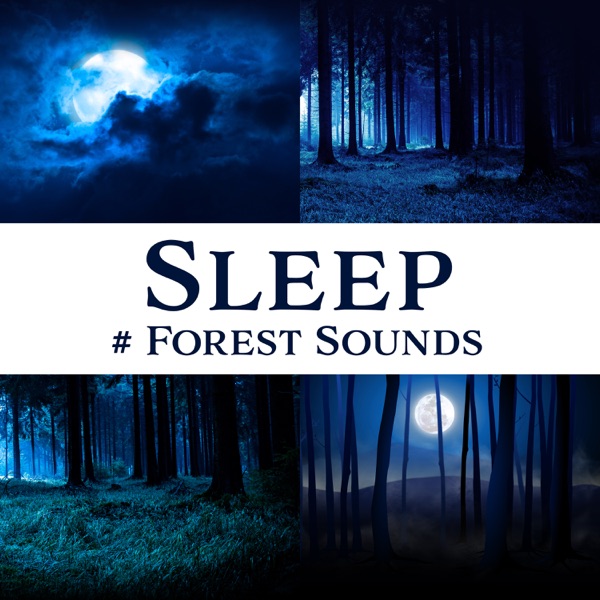 Sleep: # Forest Sounds