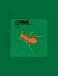聆聽 紅螞蟻合唱團、觀看音樂影片、閱讀小傳、查看巡演日期等！