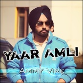 Yaar Amli artwork