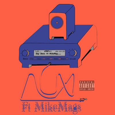 Day Ones (feat. Mike Mags) - Single